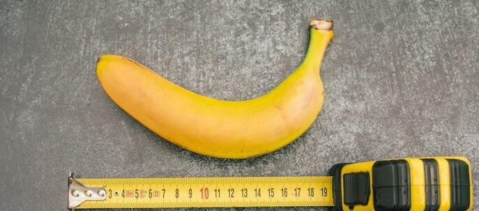 medición do pene no exemplo dun plátano